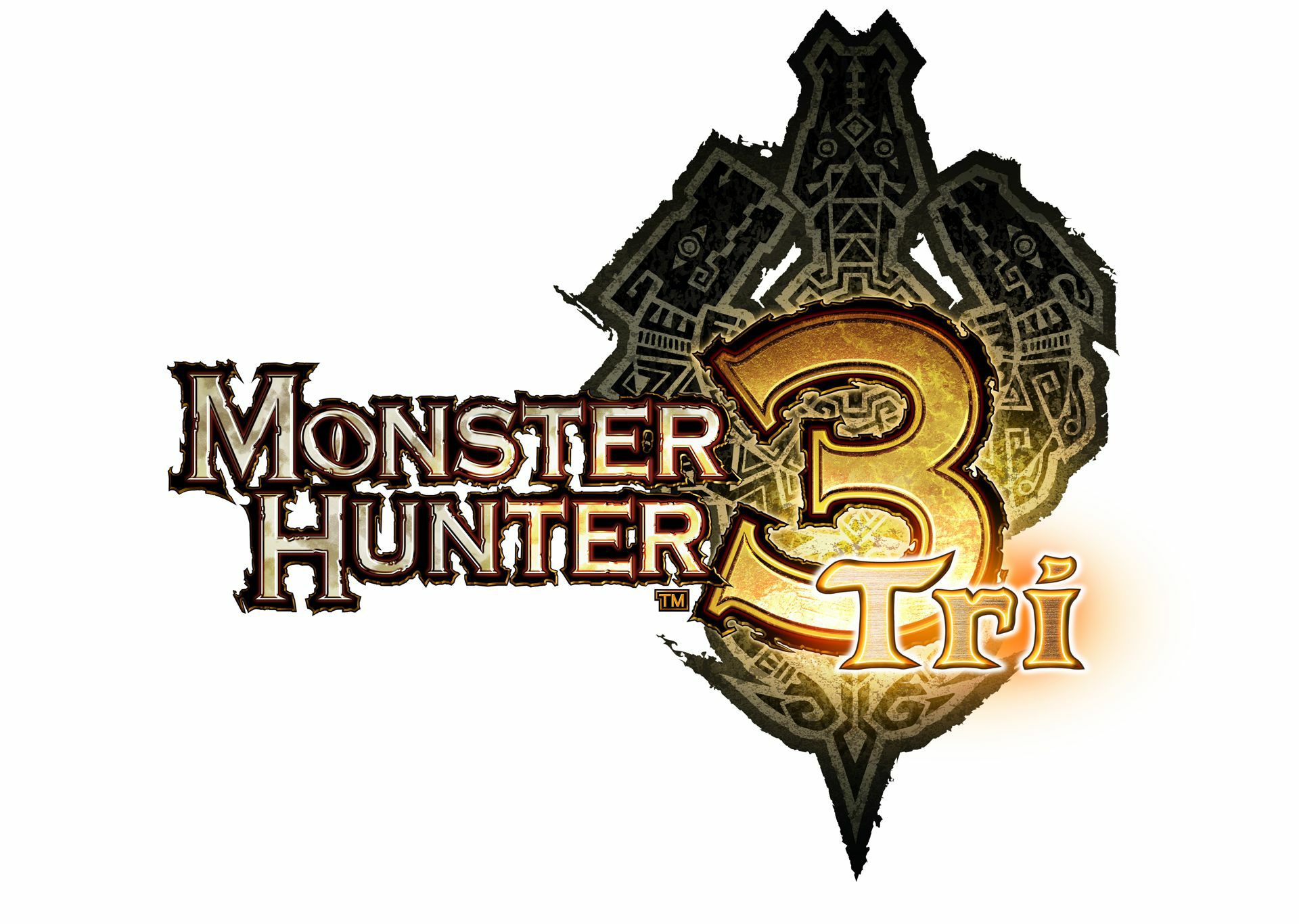 Monster Hunter Tri (3) - Imagen 27